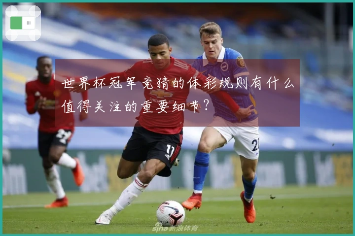 世界杯冠军竞猜的体彩规则有什么值得关注的重要细节？