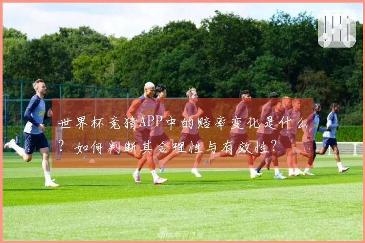 世界杯竞猜APP中的赔率变化是什么？如何判断其合理性与有效性？