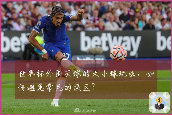 世界杯外围买球的大小球玩法，如何避免常见的误区？