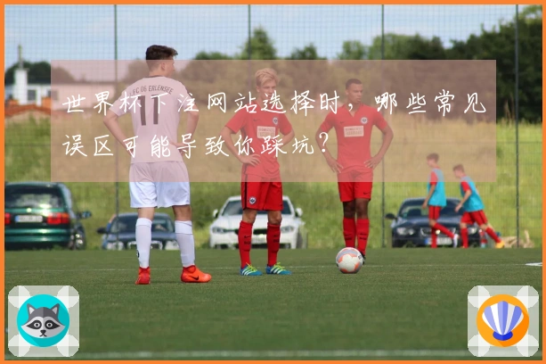 世界杯下注网站选择时，哪些常见误区可能导致你踩坑？