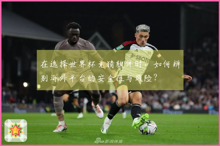 在选择世界杯竞猜软件时，如何辨别海外平台的安全性与风险？
