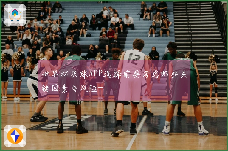 世界杯买球APP选择前要考虑哪些关键因素与风险-
