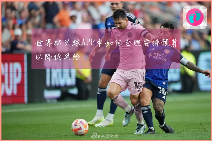 世界杯买球APP中如何合理安排预算以降低风险