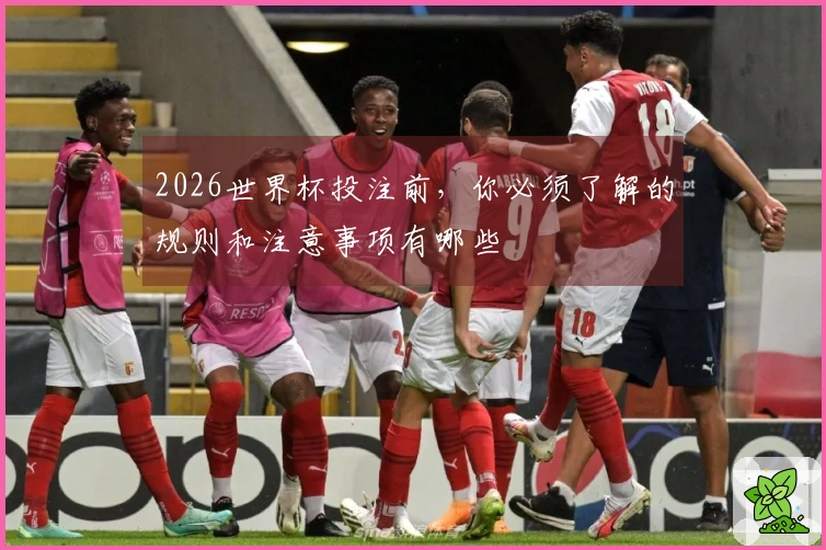 2026世界杯投注前，你必须了解的规则和注意事项有哪些