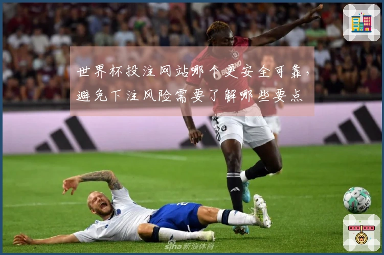 世界杯投注网站哪个更安全可靠，避免下注风险需要了解哪些要点