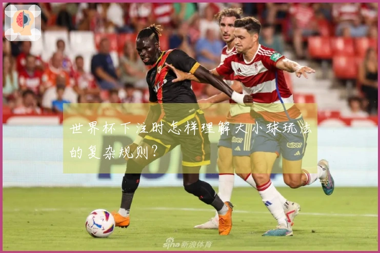 世界杯下注时怎样理解大小球玩法的复杂规则？