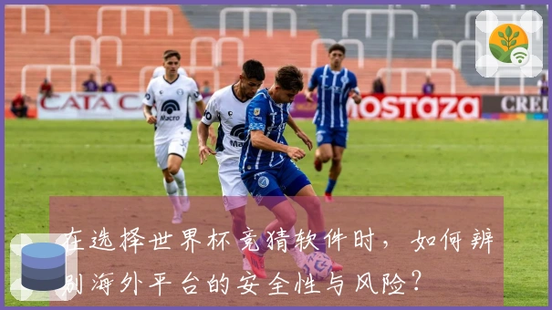 在选择世界杯竞猜软件时，如何辨别海外平台的安全性与风险？