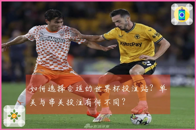 如何选择合适的世界杯投注站？单关与串关投注有何不同？
